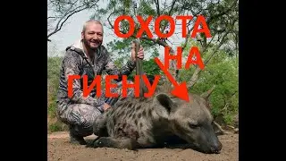 Охота на гиену. R93, 300WM, IWT. Hyena hunting at night