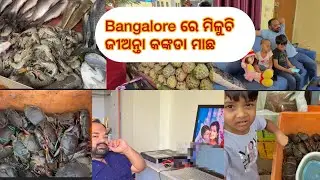 Bangalore କୋଉଠି ମିଳୁଚି ଜୀଅନ୍ତା କଙ୍କଡା #shortsfeed #odiavlog #dailyvlog #odia #gaintcrab #subscribe