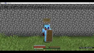 (Video 8)