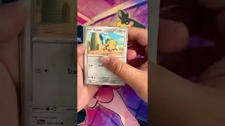 Pokémon Paldea Evolved Pack Opening! Booster Fun 
