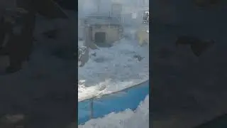 Полярный мишка-милашка