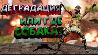 ОБНОВЛЕНИЕ В ПАБГ: ДОБАВИЛИ СОБАК? ПРОВЕРЯЕМ И ДЕГРАДИРУЕМ/Ragnar тим (R6S/PUBG/APEX)