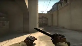 CS:GO ACE