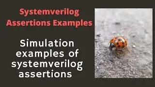 Systemverilog Assertions Examples : Real-time simulation