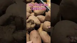 Днепр АТБ!