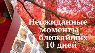 Неожиданные моменты ближайших 10 дней🔔Какие перемены на пороге✅ Таро прогноз