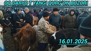 SAMARQAND V OQ DARYO TUMANI YANGI QURGʻON CHORVA BOZORIDAN NARXLAR 16.01.2025