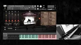Versilian Studios Chamber Orchestra - Ensemble Multis