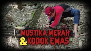 PENARIKAN..!!! MUSTIKA MERAH & KODOK EMAS DI MAKAM KERAMAT