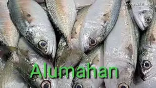SOBRANG SARAP NG ISDA NA TO||PWEDENG PANG NEGOSYO