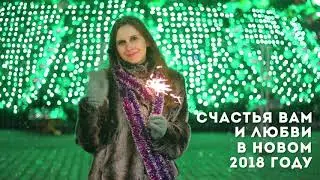 Новогоднее поздравление с 2018 годом!