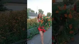 Мои цветы #тиктокерша #тиктокпопулярное #тиктоклучшее #рекомендации #лучшее #красотка