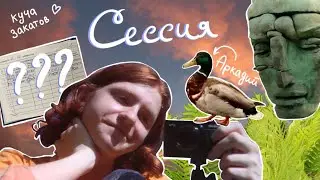 сдаю первые экзамены