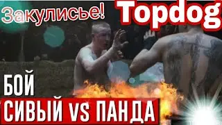 Сивый против Панды! Голые кулаки. Полный бой!