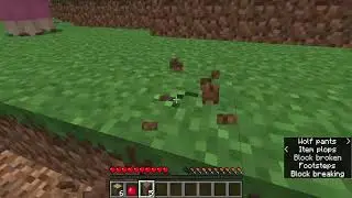 MinecraftSurvival