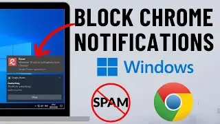 How to Stop Google Chrome Notifications on Windows 10/11 PC