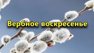 Вербное воскресенье 2021. Когда праздновать, традиции и запреты.