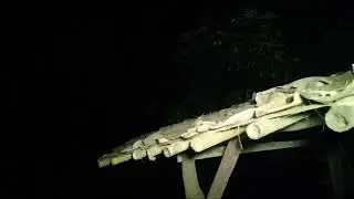 Live misteri Lokasi GOJIN OMP Ane Bar barin kuntilanak bengek