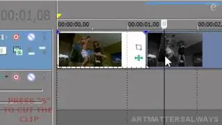 Sony Vegas Effect Tutorial #8 Freezing