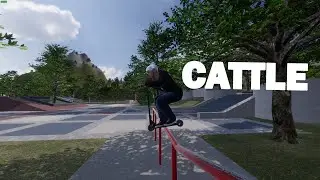 CATTLE 2