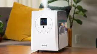 The Best Humidifiers 2024
