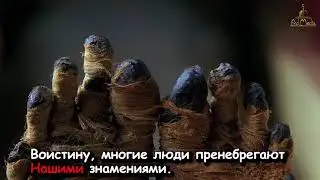 Красивое чтение Корана  чтец Абдул Вахид  Сура Юнус, 91 93 аяташ