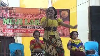 SENI TAYUB, CAMPURARI MUJI LARAS