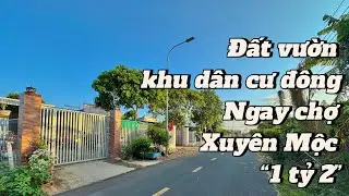 #110 Kẹt tiền bán đất vườn nằm vị trí kinh doanh mua bán được, ngay chợ Xuyên Mộc | Cao tốc Hồ Tràm