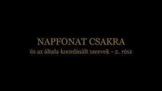 Beszélgetések Árendás László természetgyógyásszal - Napfonat csakra és általa koordinált szervek 2.