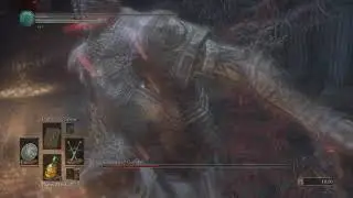 Dark Souls 3 Champion Hundyr Epic Fight NG+99