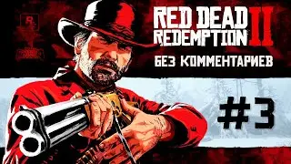Red Dead Redemption 2 - прохождение без комментариев #3