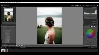 3. Green Tones --lightroom presets free