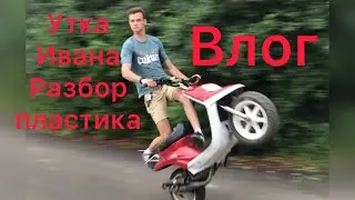Разбор утки Ивана , влог , общение с подписчиками
