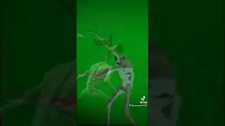 siren head vs light head green screen