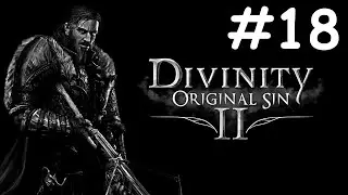 divinity: original sin 2 # два паладина [18]