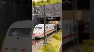 ICE 1 📸 wilder Fokus #ice1 #ice #db #modelleisenbahn