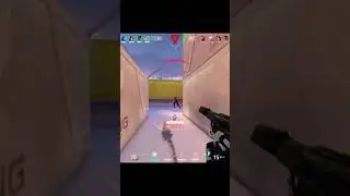 Ghost vs vandal 