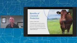 2024 DTN Ag Summit Series: Navigating the 2024 Cattle Market