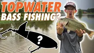 Unleashing Bank Fishing Topwater Magic: Heddon Spin’N Image Tips & Tricks!