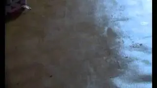 Misteriosa apparizione di Gesù sul tavolo