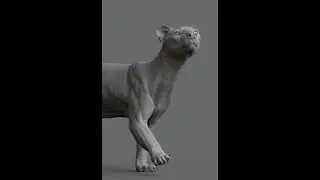 Animal Anatomy: Modeling a Fossa with Aritz Basauri 