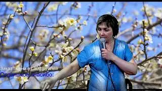 В нашем песенном районе)