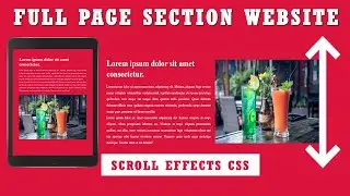 Creative  Full Page Scroll Section Website Design Using HTML CSS Only | CSS Scroll-Snap 