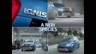 New IGNIS 2020