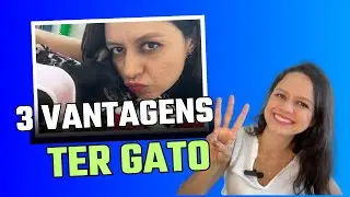 3 vantagens de ter gato 😻