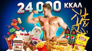 24,000 calories in 24 HOURS | 24,000 calorie CHALLENGE