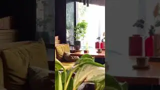 Куда сходить в Самаре? Обзор заведений Самара