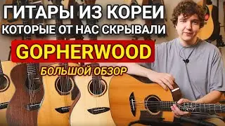 Корейские Гитары №1? Обзор Гитар Gopherwood!
