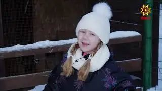 23/12/2022 - Фазаны в программе "Ир пулсан"