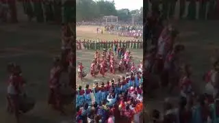 hartopa golden jubilee
